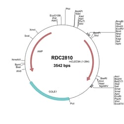 R&D Systems&trade;&nbsp;Mouse CLEC9a (NP_001192292) VersaClone cDNA