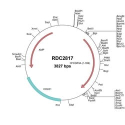 R&D Systems™ Human Fc gamma RIIIA/CD16a (NP_000560) VersaClone cDNA
