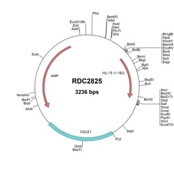 R&D Systems&trade;&nbsp;Human IL-15 (NP_000576) VersaClone cDNA