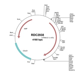 R&D Systems™ Mouse TRIM21 (AAH10580) VersaClone cDNA