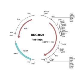 R&D Systems&trade;&nbsp;Mouse IGSF21 (NP_941012.1) VersaClone cDNA