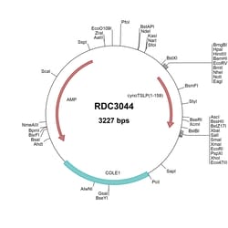 R&D Systems&trade;&nbsp;Cynomolgus Monkey TSLP (XP_005557555.1) VersaClone cDNA