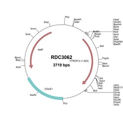R&D Systems&trade;&nbsp;Human TROP-2 (NP_002344.2) VersaClone cDNA