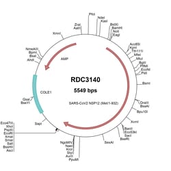 R D Systems SARS-CoV-2 NSP12 (YP_009725307.1) VersaClone cDNA 10 &mu;g | Buy Online | R&amp;D Systems&trade; | Fisher Scientific