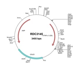 R&D Systems&trade;&nbsp;Mouse TNF-alpha (NP_038721.1) VersaClone cDNA