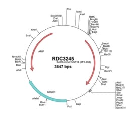 R&D Systems&trade;&nbsp;SARS-CoV-2 NSP16 (YP_009725311.1) VersaClone cDNA