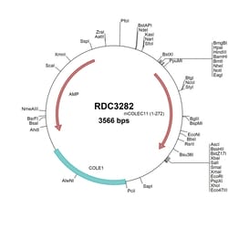 R&D Systems&trade;&nbsp;Mouse CL-K1/COLEC11 (NP_082142.1) VersaClone cDNA
