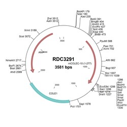 R&D Systems&trade;&nbsp;Mouse CL-L1/COLEC10 (NP_775598.2) VersaClone cDNA