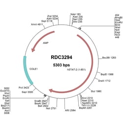 R&D Systems&trade;&nbsp;Human STAT2 (NP_005410.1) VersaClone cDNA