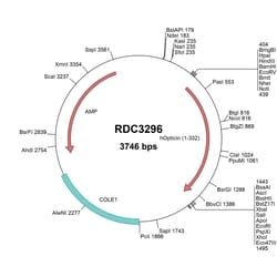 R&D Systems&trade;&nbsp;Human Opticin (NP_055174.1) VersaClone cDNA
