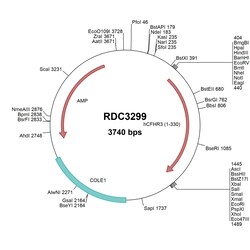 R&D Systems&trade;&nbsp;Human CFHR3 (NP_066303.2) VersaClone cDNA