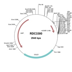 R&D Systems&trade;&nbsp;Mouse SVBP/CCDC23 (NP_077782.1) VersaClone cDNA