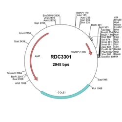 R&D Systems&trade;&nbsp;Human SVBP/CCDC23 (NP_955374.1) VersaClone cDNA