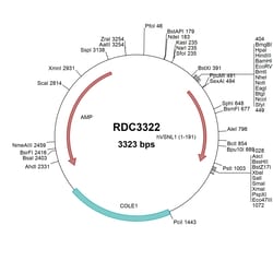R&D Systems&trade;&nbsp;Human Visinin Like 1 (NP_003376.2) VersaClone cDNA