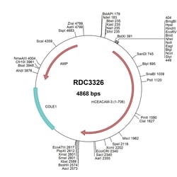R&D Systems&trade;&nbsp;Mouse CEACAM-3/CD66d (NP_473400.1) VersaClone cDNA