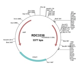 R&D Systems&trade;&nbsp;Mouse CD300b/LMIR5 (NP_954691.3) VersaClone cDNA
