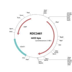 R&D Systems™ Cyno Monkey Osteoactivin (XP_005550047.1) VersaClone cDNA