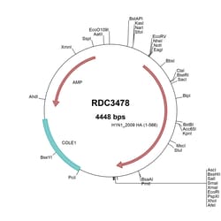 R&D Systems&trade;&nbsp;H1N1 Hemagglutinin (YP_009118626.1) VersaClone cDNA