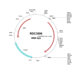 R&D Systems&trade;&nbsp;Human TMPRSS11B (NP_872308.2) VersaClone cDNA