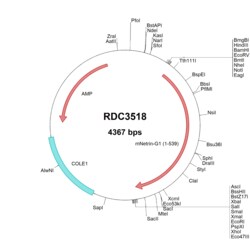 R&D Systems&trade;&nbsp;Mouse Netrin-G1a (NP_109624.1) VersaClone cDNA