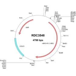 R&D Systems&trade;&nbsp;Mouse beta IG-H3 (NP_033395.1) VersaClone cDNA