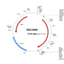 R&D Systems&trade;&nbsp;Cynomolgus Monkey Siglec-9 (unique) VersaClone cDNA