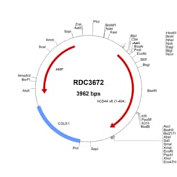 R&D Systems&trade;&nbsp;Human CD44v6 (unique) VersaClone cDNA