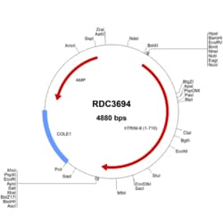 R&D Systems&trade;&nbsp;Human TRIM9 (NP_055978.4) VersaClone cDNA