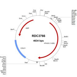 R&D Systems&trade;&nbsp;Human PIAS3 (NP_006090.2) VersaClone cDNA