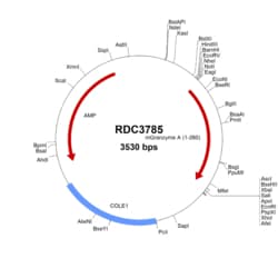 R&D Systems&trade;&nbsp;Mouse Granzyme A (NP_034500.1) VersaClone cDNA