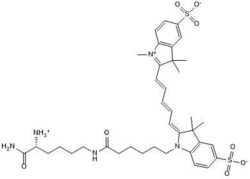 Tocris Bioscience sCy5DL-amide 2 mg | Buy Online | Tocris Bioscience&trade; | Fisher Scientific