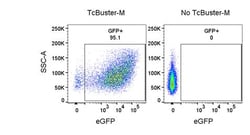 R&D Systems&trade;&nbsp;TcBuster Transposon Insert On eGFP