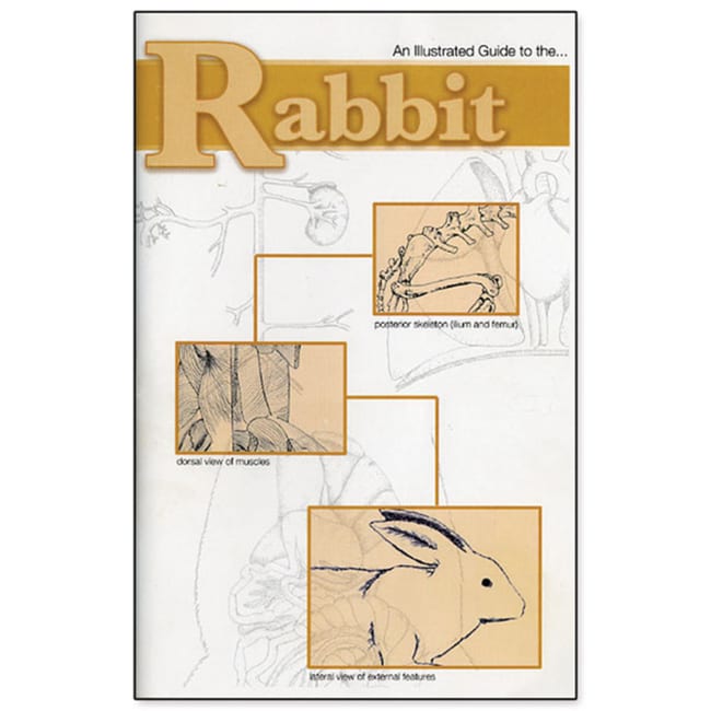 Dissection Guides An Illustrated Dissection Guide To The Rabbit An