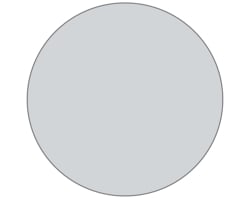 Shamrock Litho farbcodiertes Etikett, rund Grau | Buy Online | Shamrock&trade; | Fisher Scientific