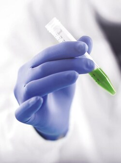 Showa Best Glove Single Use Nitrile Gloves Small | Buy Online | Showa Best Glove&trade; | Fisher Scientific