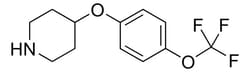 Sigma Aldrich 4-[4-(Trifluoromethoxy)phenoxy]piperidine 1 g | Buy Online | Sigma Aldrich | Fisher Scientific