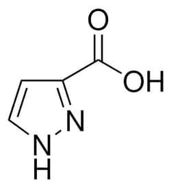 Sigma Aldrich 1H-Pyrazole-3-carboxylic acid 1 g | Buy Online | Sigma Aldrich | Fisher Scientific