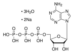 Sigma Aldrich Adenosine 5'-triphosphate disodium salt trihydrate 25 g | Buy Online | Sigma Aldrich | Fisher Scientific