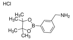 Sigma Aldrich 3-Aminomethylphenylboronic Acid, Pinacol Ester Hydrochloride 1 g | Buy Online | Sigma Aldrich | Fisher Scientific