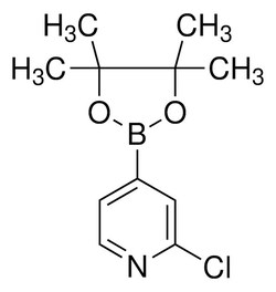Sigma Aldrich 2-Chloro-4-(4,4,5,5-tetramethyl-[1,3,2]dioxaborolan-2-yl)-pyridine 1 g | Buy Online | Sigma Aldrich | Fisher Scientific