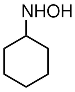 Sigma Aldrich N-Cyclohexylhydroxylamine 1 g | Buy Online | Sigma Aldrich | Fisher Scientific