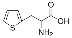 Sigma Aldrich 3-(2-Thienyl)-Dl-Alanine 5 g | Buy Online | Sigma Aldrich | Fisher Scientific