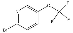 Sigma Aldrich 2-Bromo-5-(trifluoromethoxy)pyridine 1 g | Buy Online | Sigma Aldrich | Fisher Scientific