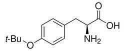 Sigma Aldrich O-Tert-Butyl-L-Tyrosine 1 g | Buy Online | Sigma Aldrich | Fisher Scientific