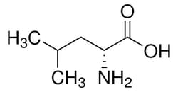 Sigma Aldrich D-Leucine 500 mg | Buy Online | Sigma Aldrich | Fisher Scientific