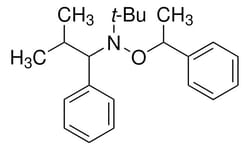 Sigma Aldrich N-tert-Butyl-N-(2-methyl-1-phenylpropyl)-O-(1-phenylethyl)hydroxylamine 250 mg | Buy Online | Sigma Aldrich | Fisher Scientific
