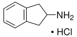 Sigma Aldrich 2-Aminoindan hydrochloride 1 g | Buy Online | Sigma Aldrich | Fisher Scientific