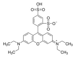 Sigma Aldrich Sulforhodamine B, acid form 5 g | Buy Online | Sigma Aldrich | Fisher Scientific