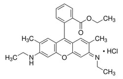 Sigma Aldrich Rhodamine 6G 250 mg | Buy Online | Sigma Aldrich | Fisher Scientific