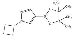 Sigma Aldrich&nbsp;1-Cyclobutyl-1H-pyrazole-4-boronic acid pinacol ester